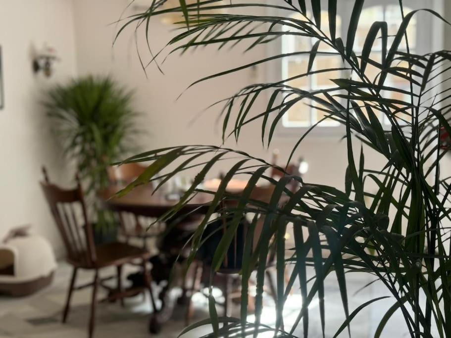 Apartment The Nest, Zamalek *