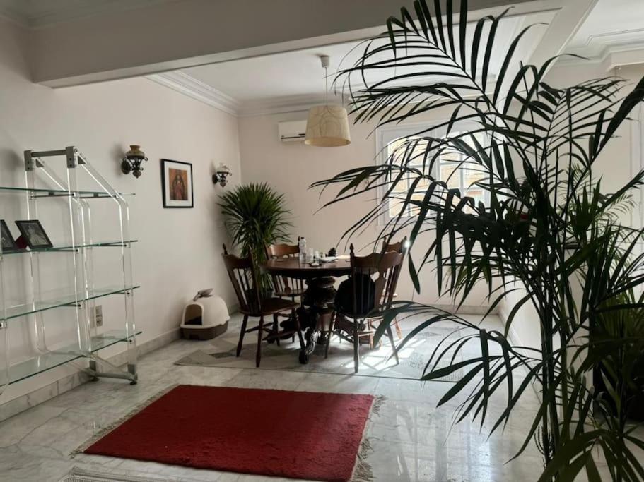 The Nest, Zamalek *